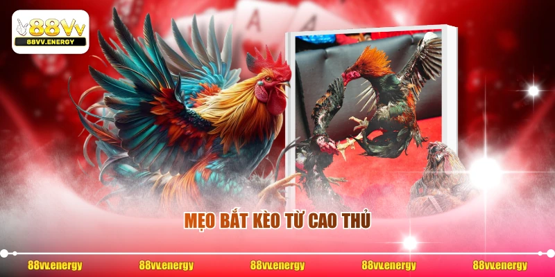 Mẹo bắt kèo từ cao thủ