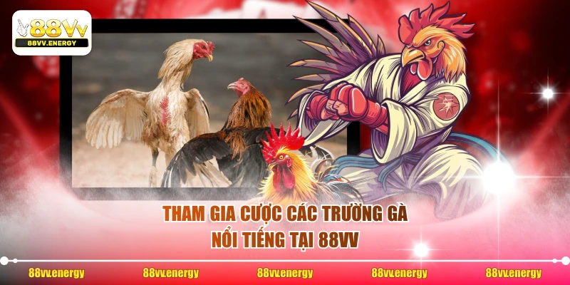 Tham gia cược các trường gà nổi tiếng tại 88VV 
