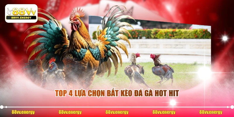 Top 4 lựa chọn bắt kèo đá gà hot hit